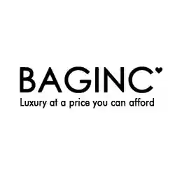 baginc.com