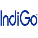 goindigo.in